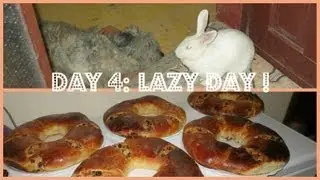 ♡ December 22, 2012 - LAZY Day !