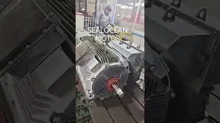 CHINA FACTORY SEALOCEAN ELECTRIC MOTOR YKK,YRKK,TDMK,YB,YSPKK,YPKK,YSP, YR,Y2,YZR,YZ,MTH,MTKH,YZPSL
