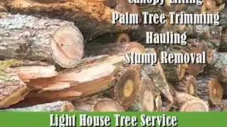 Light House Tree Service, San Antonio, TX