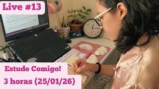Estude comigo no domingo | 3h | Live #13 | Study with me