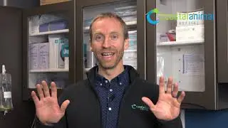 Food allergy testing - it it gold or garbage?