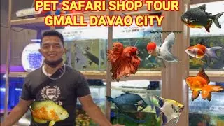 Visiting PET SAFARI SHOP GAISANO MALL DAVAO CITY #fishchannel #fishvideo