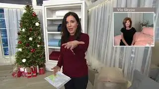 Northern Nights 650 Fill Power 440TC Cotton Premium Down Comforter on QVC