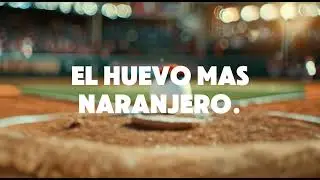 El huevo m&aacute;s naranjero: Agroval