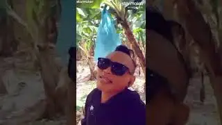 Kong ni biya man sya//cover by KANDARAKAS BAND ✌️