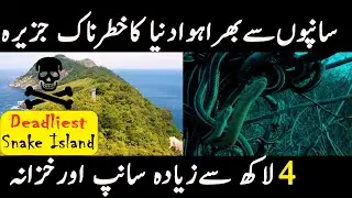 The Deadliest Snake Island on Earth Documentary in Urdu/ Hindi