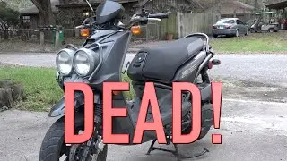 Yamaha Zuma 125 Scooter. $800 Will It Start?