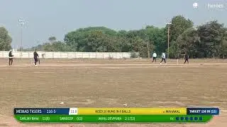 MAHAKAL vs MEWAD TIGERS live cricket match | BR CUP - MPL SEASON  - 8  live - Ground 4 - chiloda Ah