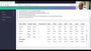 How to Use Cash Flow Software