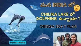 Chilika lake tour || Odisha || Chilika lake లో Dolphins ఉన్నాయా? | telugu || Rishis things ||