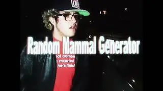 Random Mammal Generator - Mainline (Official Video)