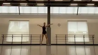 NDT Summer 2026  Audition Noga Feld