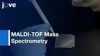 Custom Database To Characterize Bacteria Indigenous To Unique Cave Environment l Protocol Preview