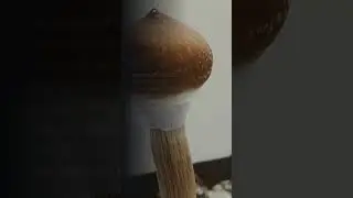 Cosechando &Eacute;xito: La Importancia de la Humedad en el Cultivo de Hongos 🍄💧