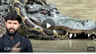Horror scene in the village: Crocodile and snake together, rescue team saves lives || Murli