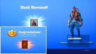 Fortnite: DIRE FINAL STAGE & DIRE BACKBLING UNLOCKED! | *World Record On Xbox*