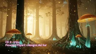CD 2 - tripy - Hongos de Chile 2025 Psytrance - Flowzart Psyart