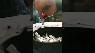 Cigarettes 🚬 (Free Stock Videos) #cigarette #nosmoking #free #to #download #share #press #bellicon