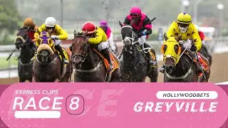 20221102 Hollywoodbets Greyville Express Clip Race 8 won by ROYAL KITTY