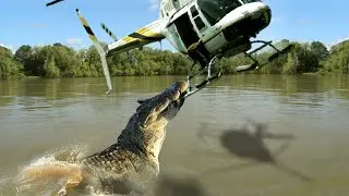 Top 10 DEADLIEST & MOST DANGEROUS ANIMALS To Humans