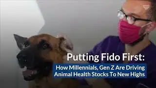 How Millennials And Gen Z Are Bringing Animal Health Stocks To New Highs