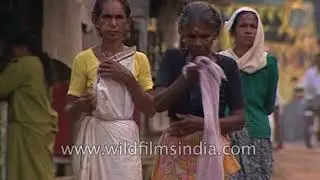 Literacy in Kerala | An article of faith for God's own country - Archival footage
