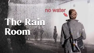 Staying dry in the Barbican's 'Rain Room'