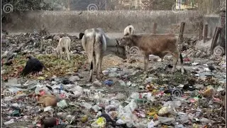 Clean India Campaign: Making Our Environment Better&rdquo; @povbyaman-f1q 