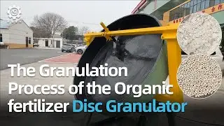 Close-up View: The Granulation Process of the Organic fertilizer Disc Granulator,Pan Granulator
