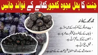 Why Ajwa Dates are Called the King of Dates' 👑 | Pure & Powerful