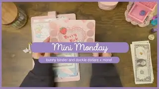 $40 Mini Monday | Duckie Dollars | becka can budget