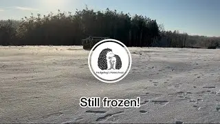 Winter on the homestead: Can we survive the constant snowfall?