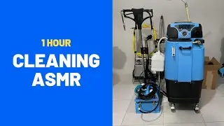 sofa cleaning