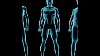 Muscle/Tendon Change Classic eBook