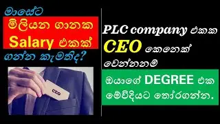 Top Degrees for Aspiring CEOs in Sri Lanka : Success Stories & Career Path Insights