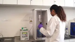 Cutting edge Bio Tech labs at BU