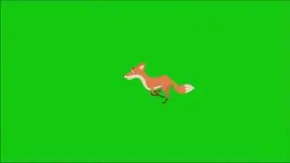 Chroma Key - Fox #1