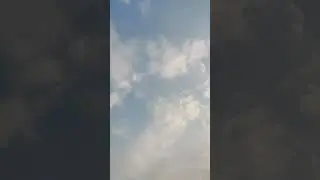 Beautiful Bird Flying In The Sky  @bdwildbird