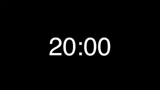 20 Minute Countdown Timer