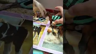 tutorial na czaprak dla modeli koni