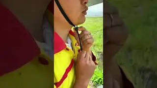 Farmers, Stay Dry with Head Umbrella I Umbrella Hat I Hands Free Umbrella