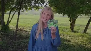 Mint Seed Collection