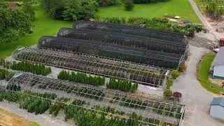 Renfroe Valley Farms, Mills River, NC
