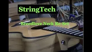 Breedlove Neck Re-Set @StringTechWorkstations