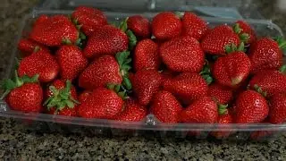Best Way To Pick Strawberries
