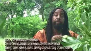 trevor sayers  herbal health
