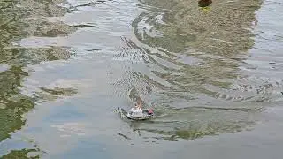 Micro Tugboat @新莊大排凹灣