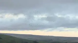 Забытые архивы