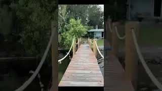 Viral Videos of Gary the Cat falling in the water 4 years went by between them