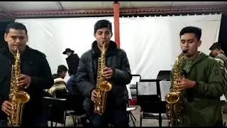 Sabor a Costa | La Furia Oaxaque&ntilde;a  (Cover) Saxos